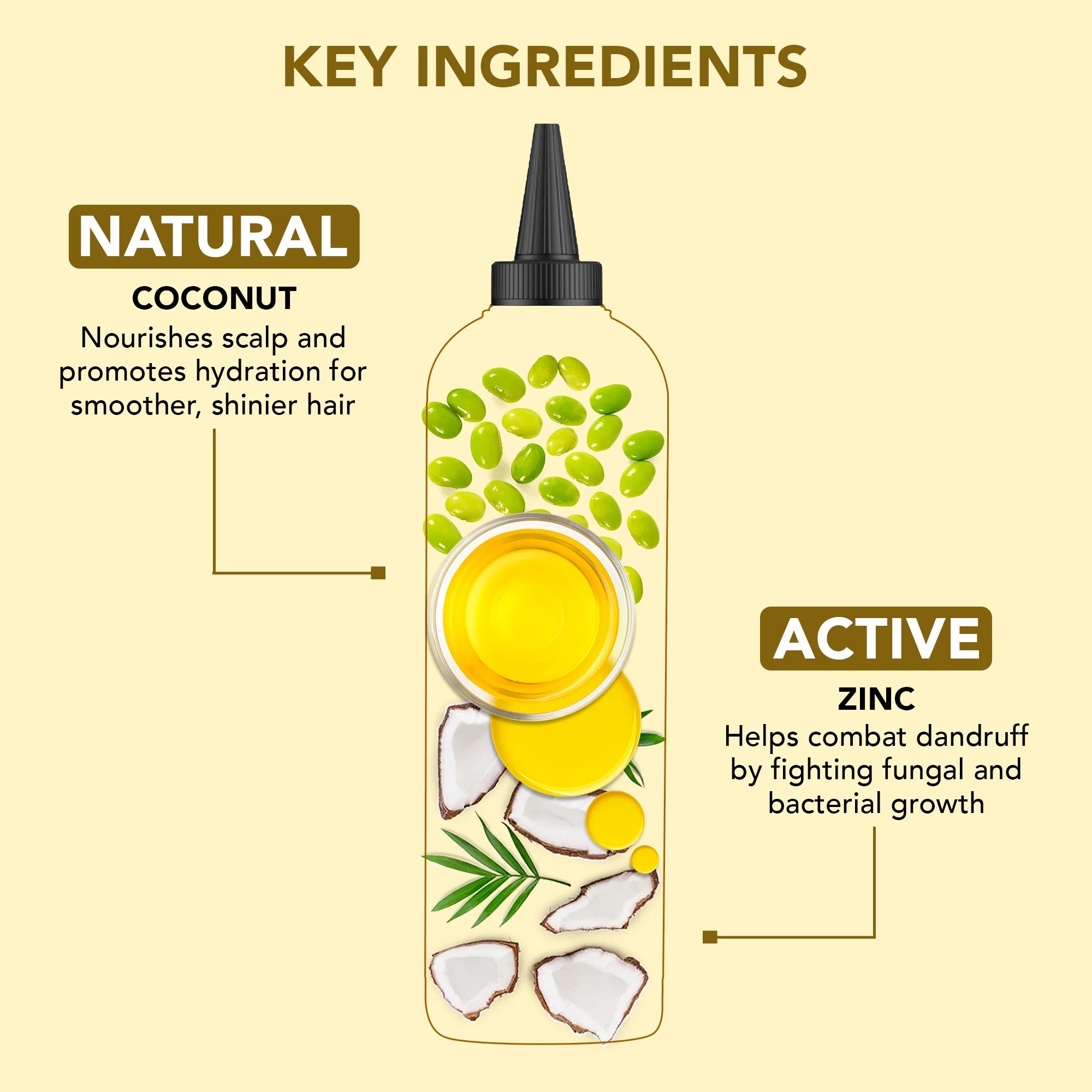 Coconut & Zinc Pyrithione Hair Oil (6.7 Fl Oz) | Moisturizing and Nourishing Hair Treatment for Dry Scalp and Healthy-Looking Hair | Paraben Free | Suitable for All Hair Types